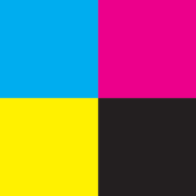 Color Palette