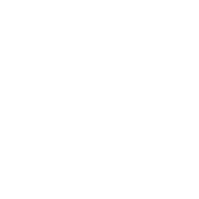 Complexity