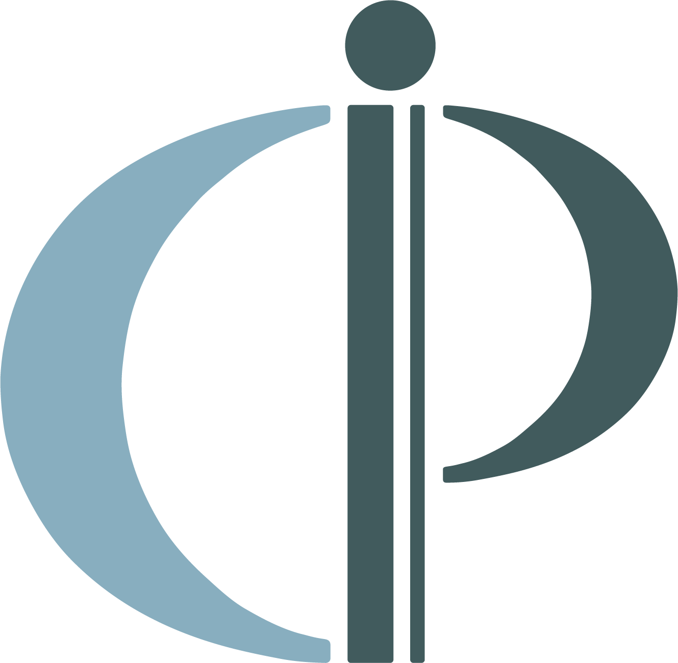 Computer Packages Inc.