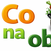 Co Na Obiad