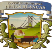 Concejo Municipal Distrito Peñas Blancas