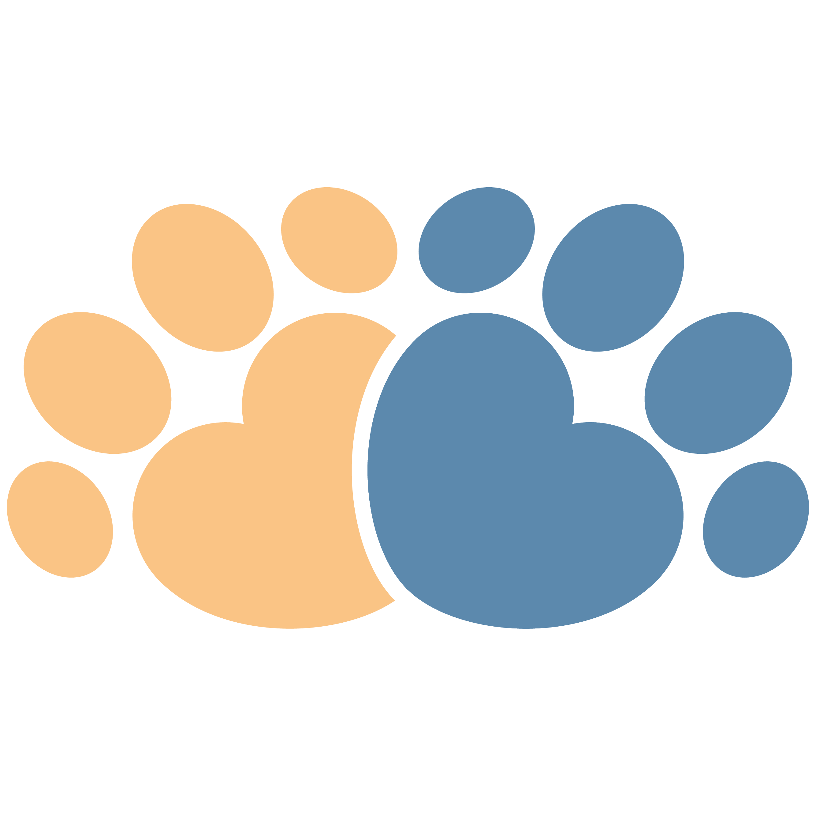connectDMVet