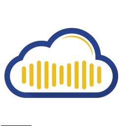 Consumer Information Solutions