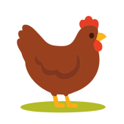 Coop Companion