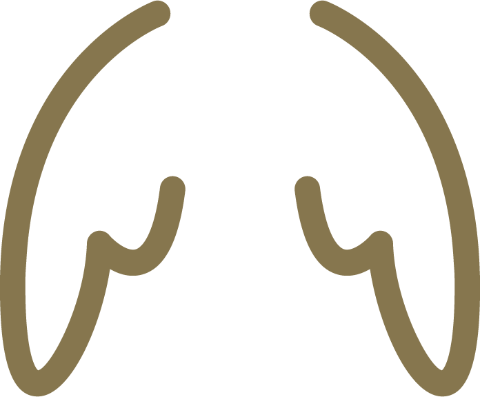Copurs