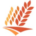 CORN POS