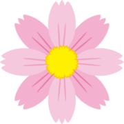 Cosmos Design