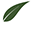 CourseLeaf