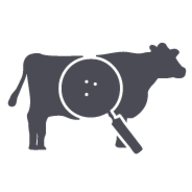 CowDVM