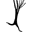 Creative Creek