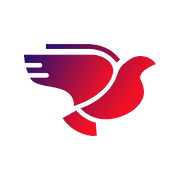 Crisis Pigeon