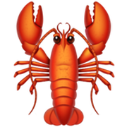 Cruise Lobster