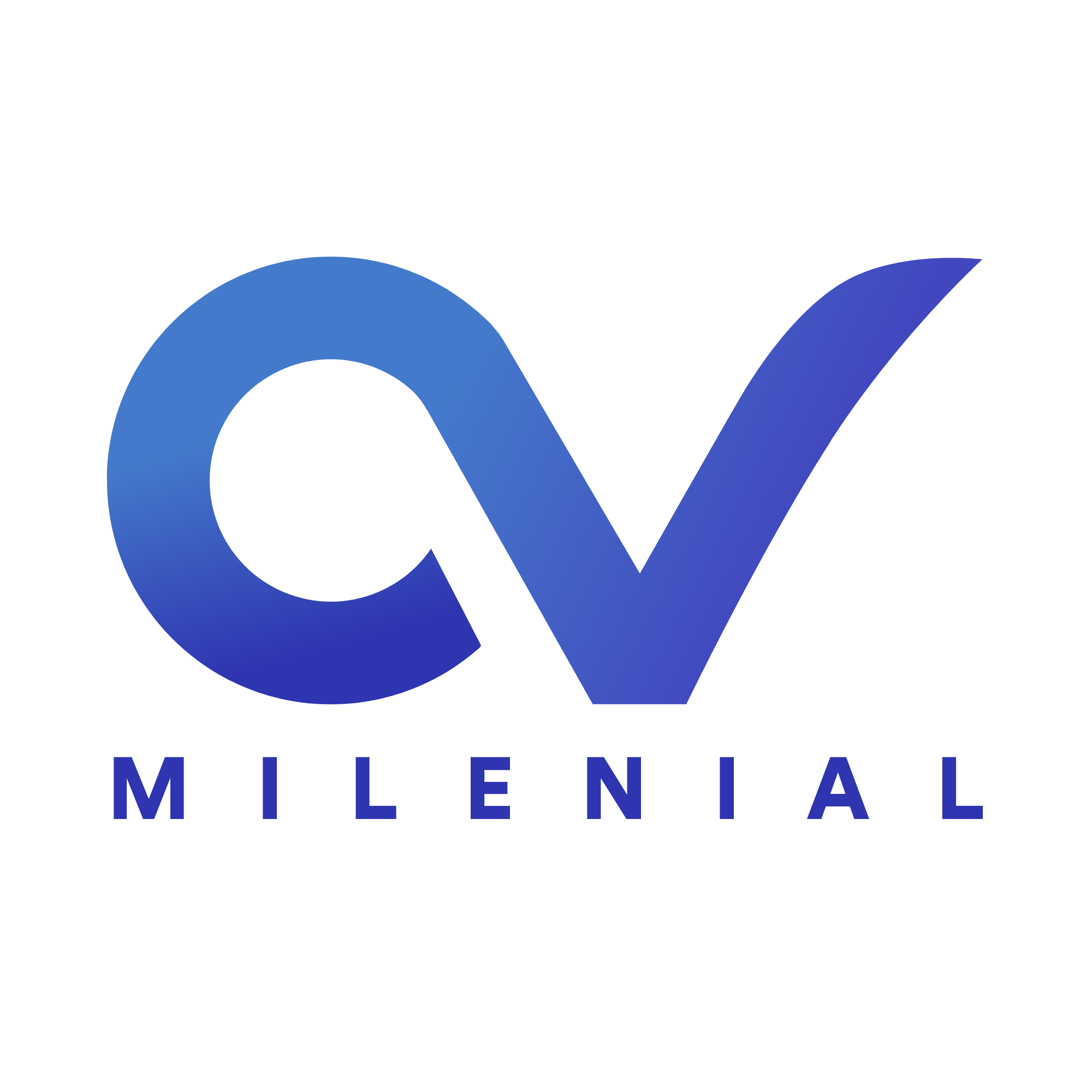 CV Milenial