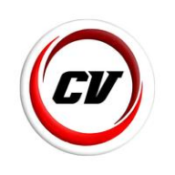 CV Pulsa