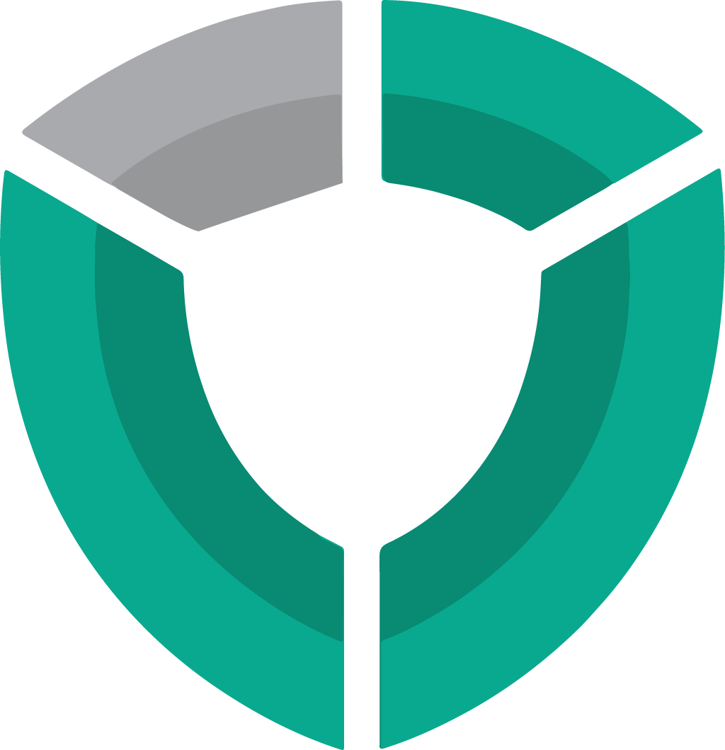 Cyber Security Shield