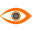 CyberEye