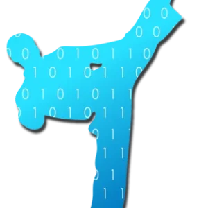 Cyber Taekwondo