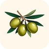 Cyprusays