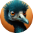 D2Emu