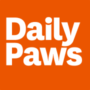 Daily Paws