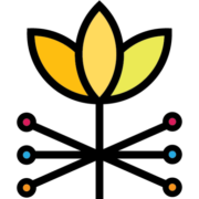 DAISEY Solutions
