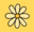 Daisy Club