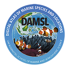 DAMSL