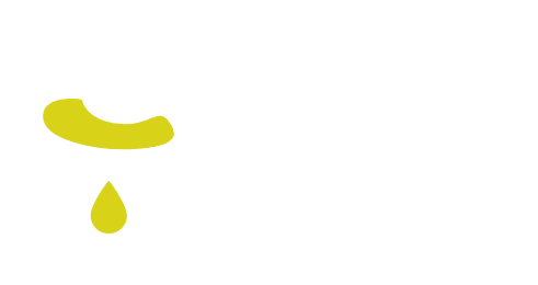 Daowb Plus