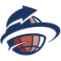 Data Insights