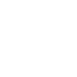 DataNimbus
