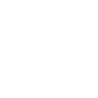 DZSALauncher