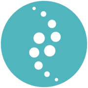 Dicom Systems