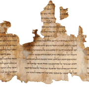 Dead Sea Insights