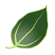 DeepForest Technologies