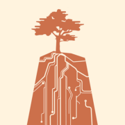 Deep Roots Hosting