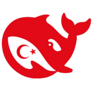 DeepSeek Türkçe