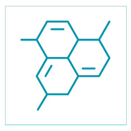 DermResponse