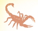 Desert Scientific Software