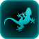 Design Gecko
