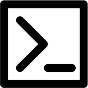 Developer Report