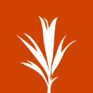 Development Seed
