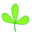 Digiflora