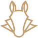 DigiPaard