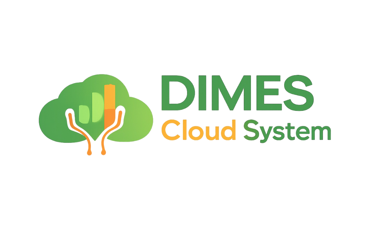 DIMES System