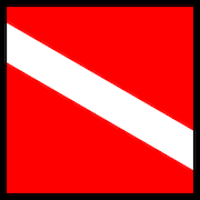 DiveBuddy