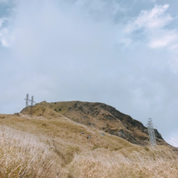 Dive Into Investment