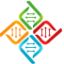 DNA Persona