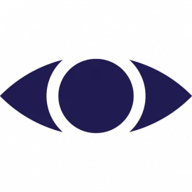 DNSmonitor