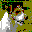 Dog.com.pl