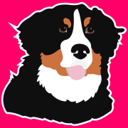 dogesec